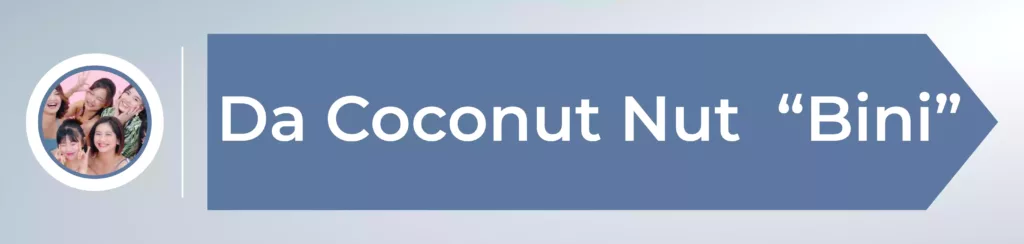 Da-Coconut-Nut-Bini