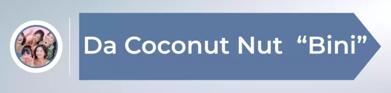 Da-Coconut-Nut-Bini